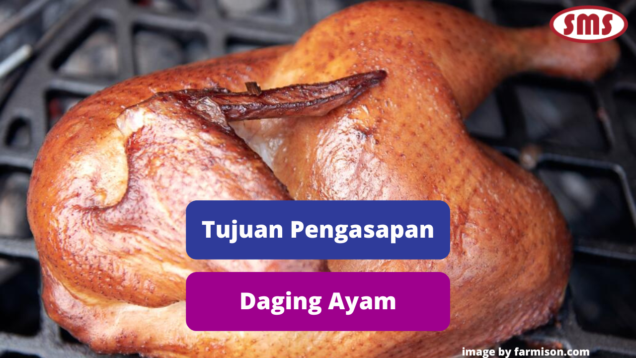 Tujuan Teknik Pengasapan Pada Daging Ayam